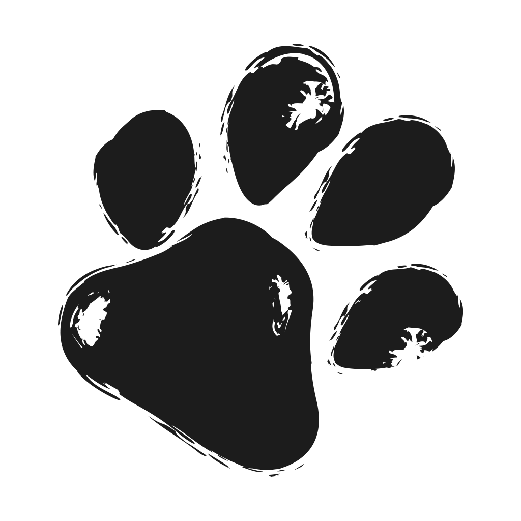 PAWFECT DOGSTYLING – Professionelle Fellpflege in Pulheim-Dansweiler